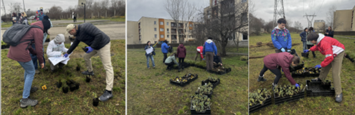 Screenshot 2026 02 04 at 11.43.10 AM (image)